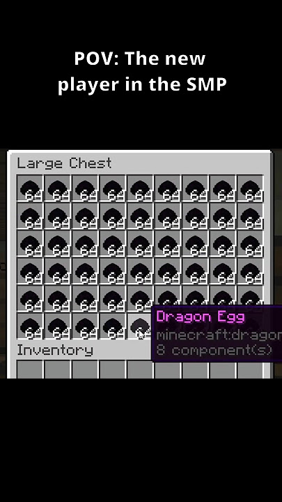 I Joined an SMP and THIS Happened!