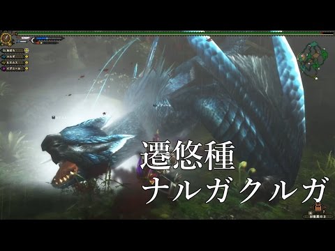 MHF-Z】遷悠種ナルガクルガ！G級！【モンハン実況】 - YouTube