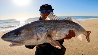 INSANE MASSIVE REDFISH FISHING OFF THE BEACH ON LIGHT TACKLE