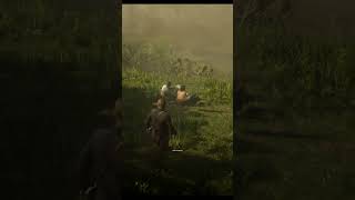 Npc Drawing Location In Rdr2 #shorts #spdxstreamgaming #rdr2