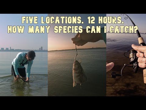 How Many Different Fish Can I Catch In 1 Day?!
