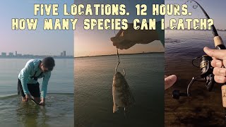 How many different fish can I catch in 1 day?!