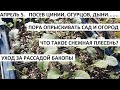 Апрель №5 Посев огурцов, цинии, дыни и арбузов. Уход за бакопой. Пора опрыскивать сад.