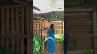 story wa beri makan kambing cewe cantik#shorts #status