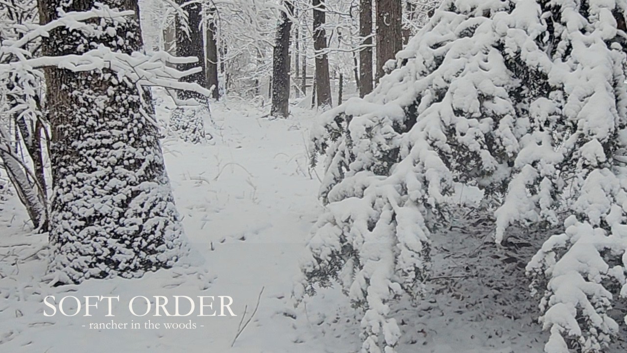 Winter Morning in the Woods ❄️ Snow Trail Walk & Cozy Slow Living