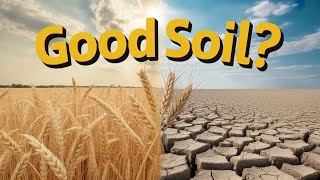 The Parable of the Sower 🌱 What Kind of Soil ARE YOU?