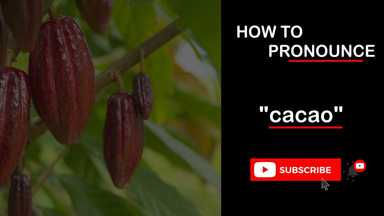 How do you say Cacao in English Cacao meaning in english YouTube