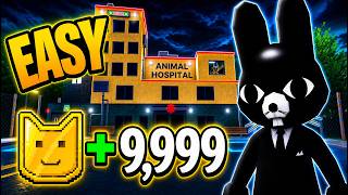 3 BEST Animal Coin Farming Methods in Animal Hospital! (Easy, Fast & AFK)