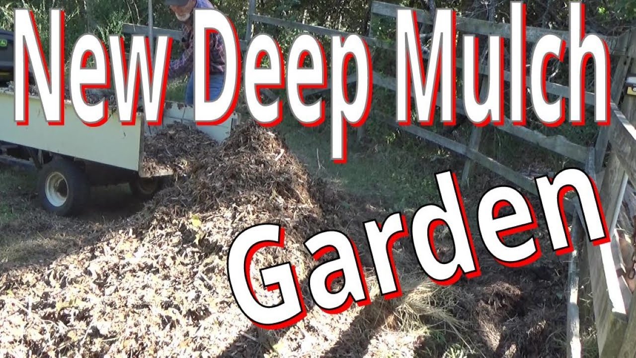 How To Start A New Deep Mulch Garden 1082023 YouTube