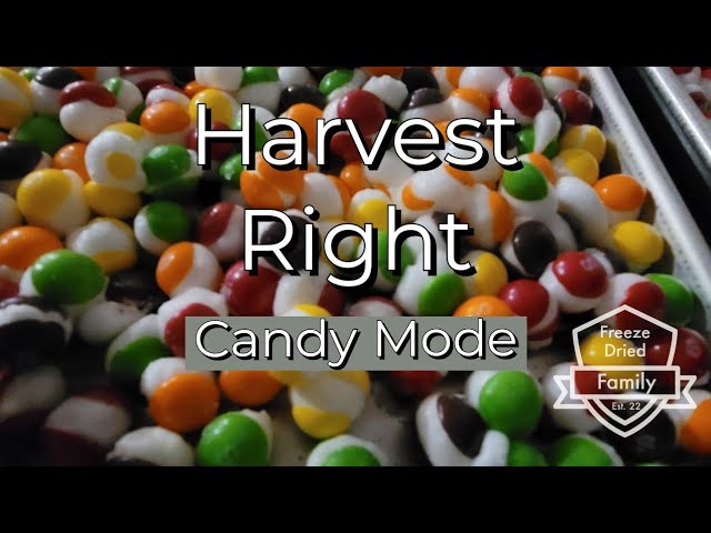 Freeze Dried Candy Corn and more!! #harvestright #freezedriedcandy