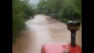 Amasya’da aşırı yağış yolları kapattı, hayvanlar mahsur kaldı Resimi