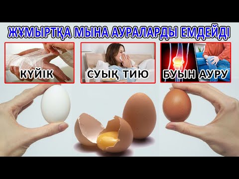 Бейне: Жұмыртқаның ақ бөлігі қандай?