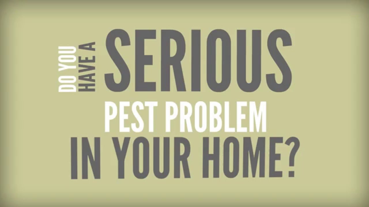 Pest Control Marketing Video - Generate Pest Control Leads With Video