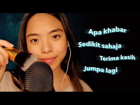 [ASMR] Tingly Malay Trigger Words & Mic Brushing ✧