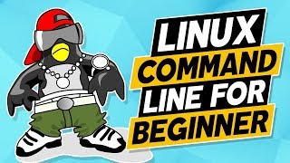 Linux for Beginners: Setup and Configure Apache + SSL Certs