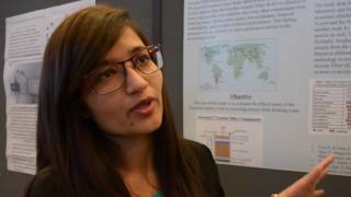 College students present academic research