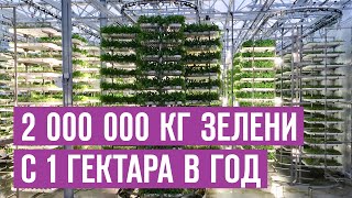 2 000 000 кг зелени с гектара в год. Бизнес выращивание зелени в вертикальных теплицах Траварт 2020