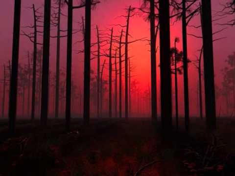       باغ من اخوان ثالث دفتر زمستان