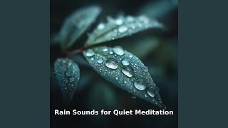 Rain in Quiet Meditation Calm, Pt.28