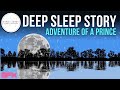 Adventure of a Prince Long Bedtime Story for Grown Ups With Sound Effects (SFX)