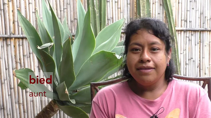 San Lucas Quiavin Zapotec - Cali Chiu Lecsyony 2, ...