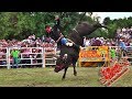 !!! TEMEN MONTAR A ESTOS TOROS !!! Seleccion Michoacana en Turian El Bajo Mich 2018