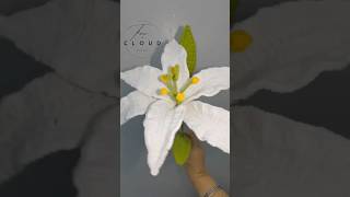 Lily pattern on funincloud.com