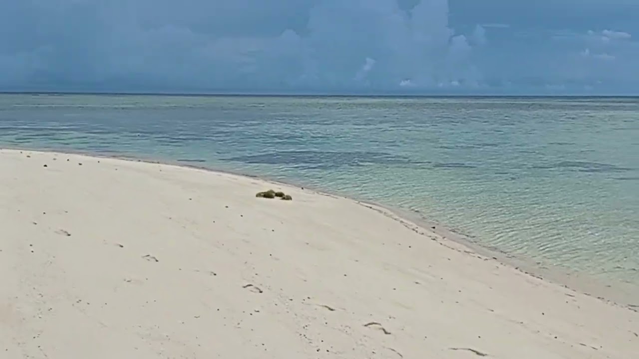 One day sea tour with awesome couple from Rusia for snorkeling