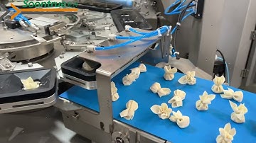 【Wonton machine】#小金鱼云吞 #wontonmachine #dimsumfrozen #中式面点 #soontrue #dumplingmakingmachine