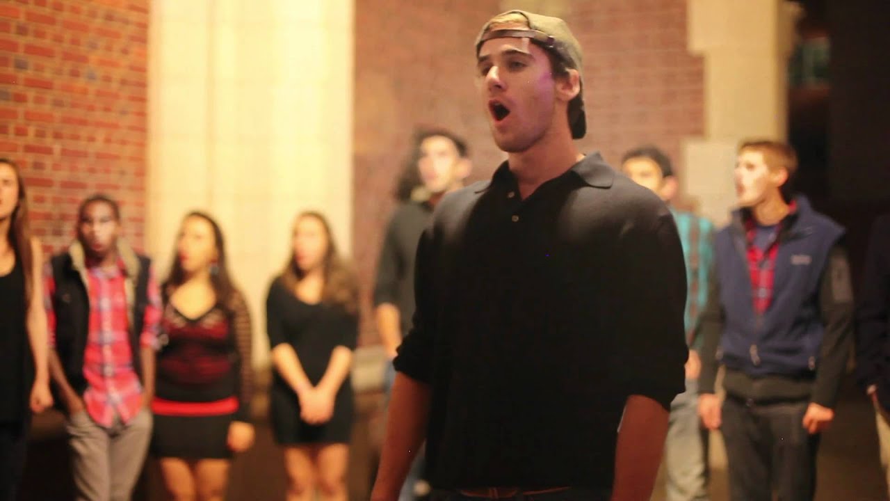 Shelter Ray LaMontagne (Shere Khan A Cappella) YouTube