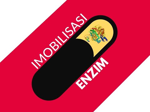 Video: Apakah yang dimaksudkan dengan imobilisasi enzim?