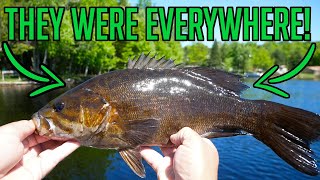 Turtle Flambeau Flowage - One of Wisconsin's BEST Smallmouth Bass Fisheries!