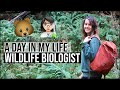 DAY IN THE LIFE OF A WILDLIFE BIOLOGIST // Habitat Assessments