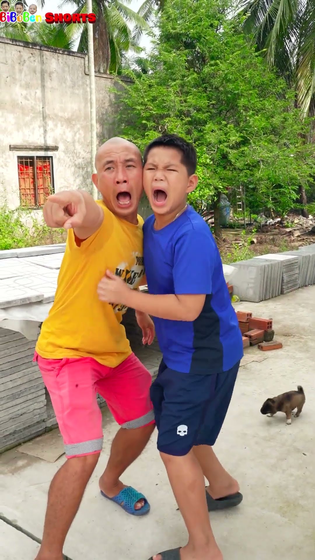 BiBoBen Shorts | OMG Giant Snake ?| Rắn khổng lồ
