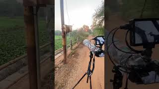 Capturing Birds at Sunset: Wildlife Photography Setup in Action #a7m3 #200600mm #feelworldmonitor