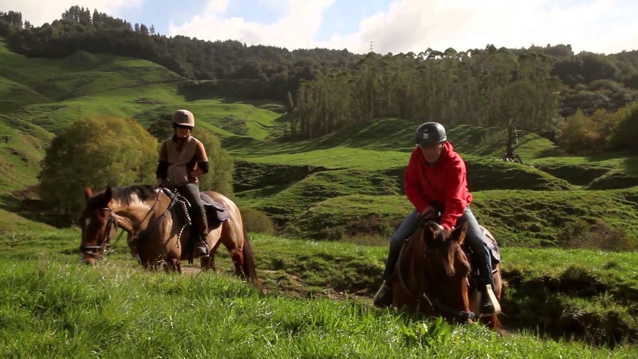 Paradise Valley Ventures Horse Riding "Rotorua" YouTube