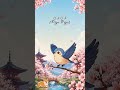 Japanese Animal Vocabulary & Sounds 🐕🇯🇵