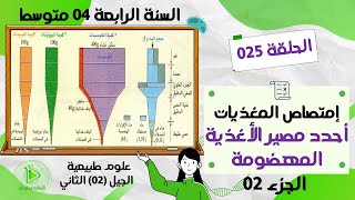 شرح وثيقة تغيرات كميات الماء والأغذية العضوية في مختلف مستويات الأنبوب الهضمي ص 17 علوم سنة 04 متوسط