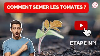 Comment semer les tomates ? -  Planterdestomates.com