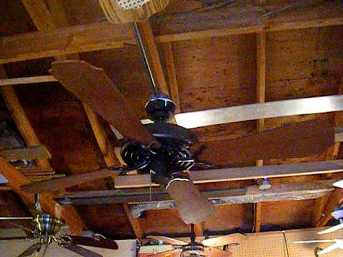 Evergo Banana Fan Ceiling Fan Youtube