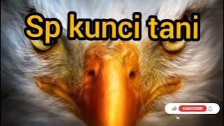 sp kunci tani