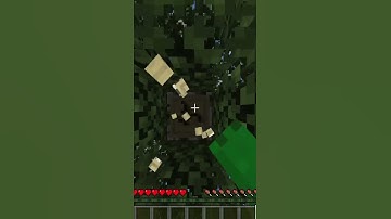 Minecraft BUT I Got Rickrolled...