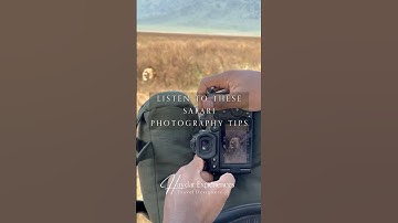 Top Safari Photography Tips Stabilization, Power Banks & iPhone Gimbals for Wildlife Shots #safari