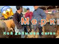 Ірі кара мал,меркі мал базар 07.04.2022