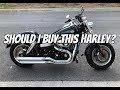 Should I buy this Harley?  Harley Davidson Dyna Fat Bob Review & Test Ride - Vulcan S 650 Comparison