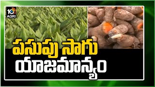 పసుపు సాగు యాజమాన్యం | Turmeric Crop Cultivation Guide | Matti Manishi | 10TV News