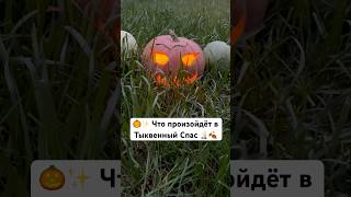 🎃Что принесёт тебе Тыквенный Спас? Тайны, магия и неожиданные повороты судьбы 🧿🧡🎭 #newyork