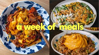 VLOG 2. What I ate Weeknight Dinners | Pasta | Korean Pancake | Japanese Curry