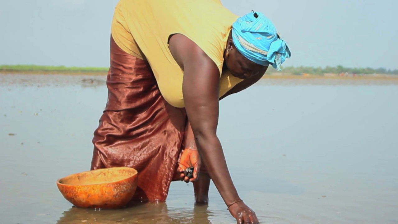 Plongée dans l'univers herculéen des femmes de Falia
