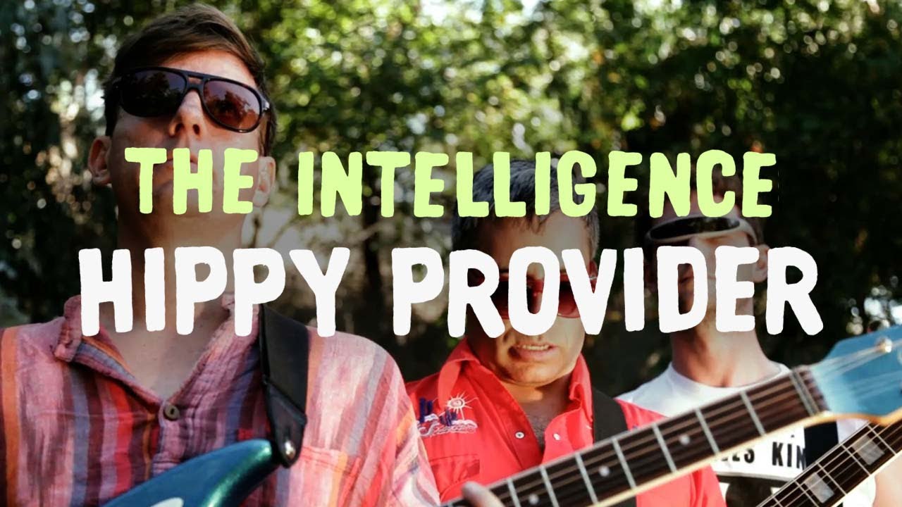 pitchfork music festival The Intelligence - 